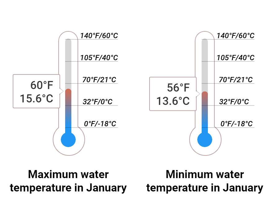 Average Sea temperature